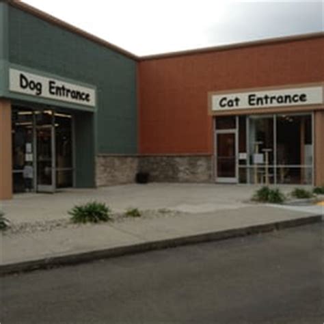 Discover Exceptional Pet Care at Sunset Animal Hospital Fairfield CA - Where Your Pets Are Treated Like Family